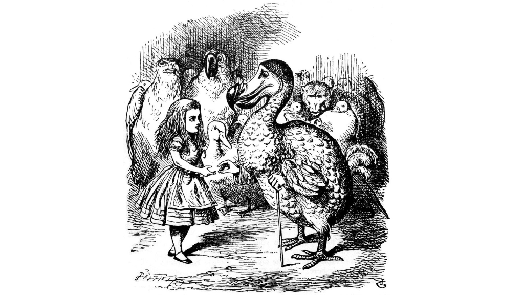 Alicia y el Dodo (ilustración deJohn Tenniel)